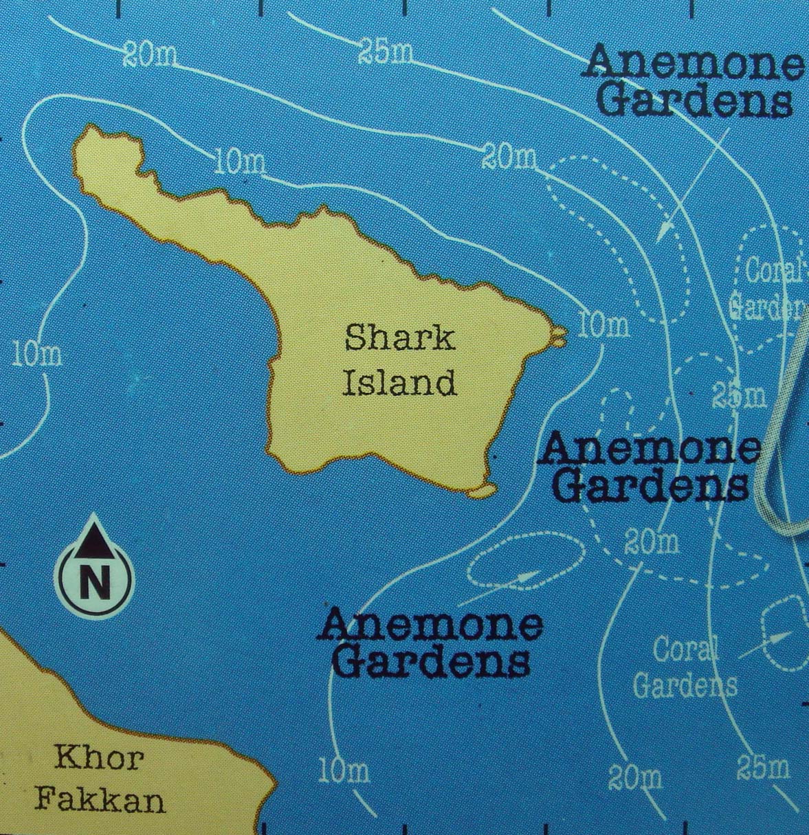 Shark Island