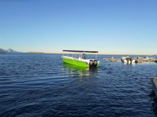 Boat Trip